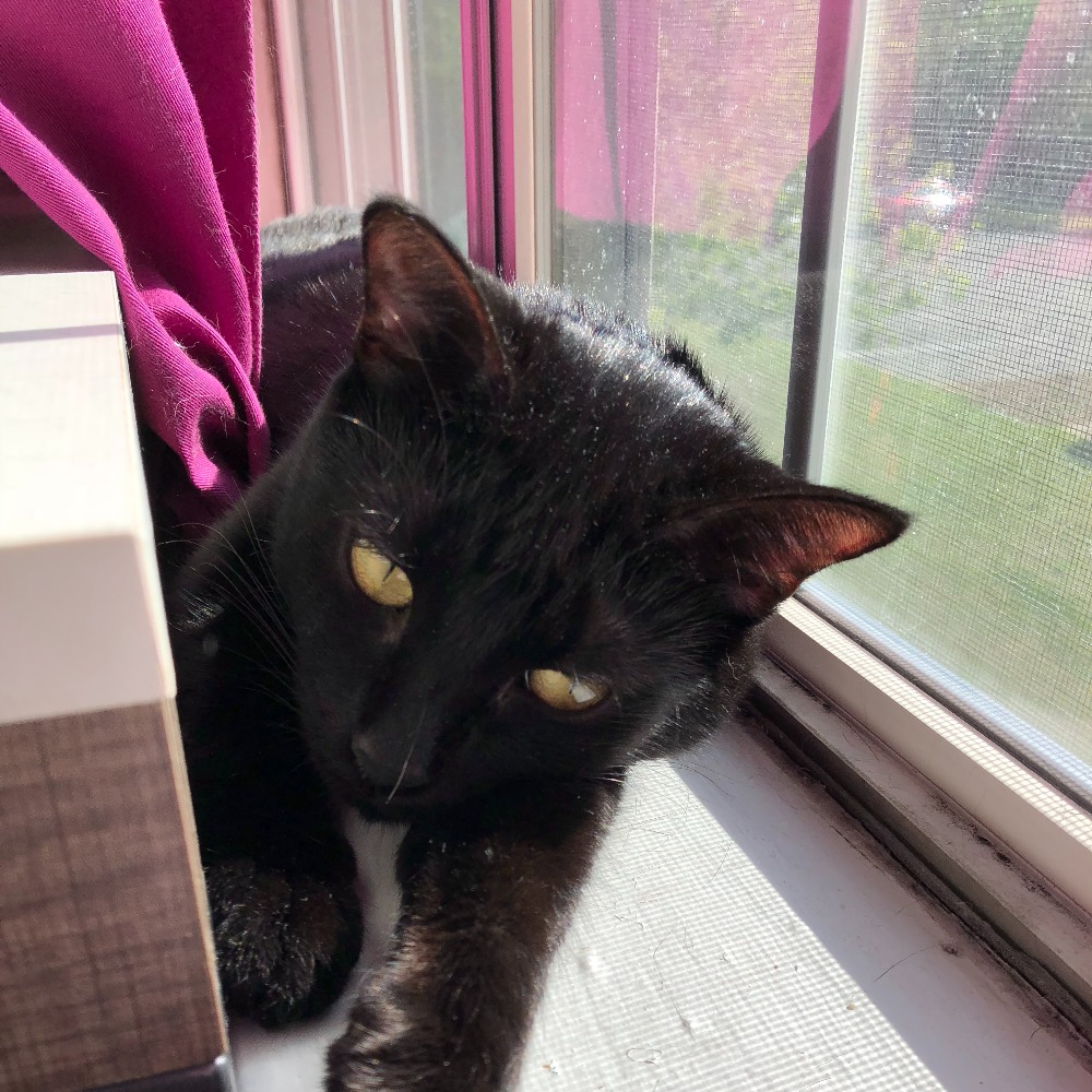 Meet your Posher, Marissa